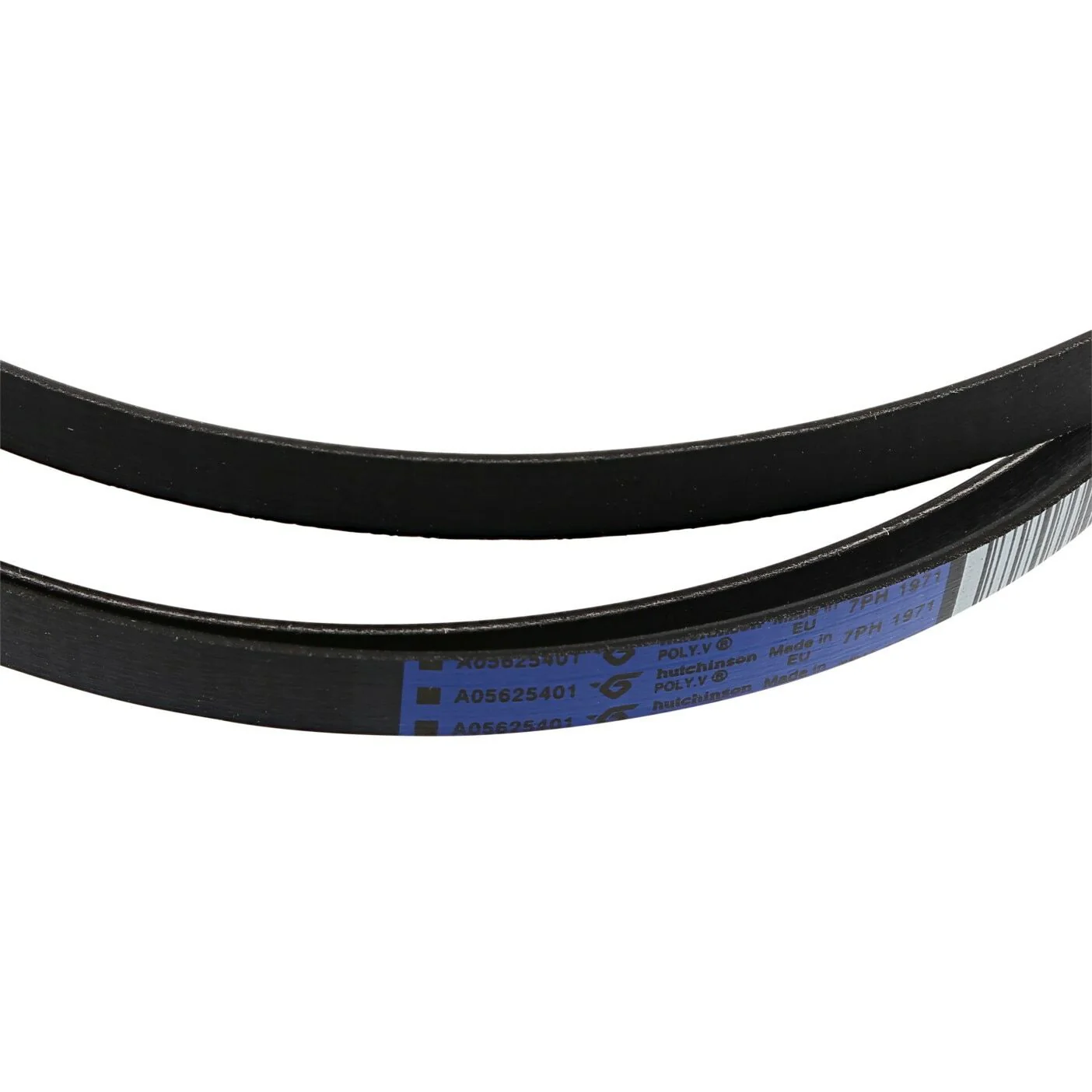Electrolux AEG Rex cinghia A05625401 ORIGINALE asciugatrice T65 EDC EDH TWL RDH - Image 2